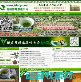 碧螺春