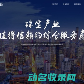 上海驰助信息技术有限公司